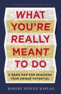 what-youre-really-meant-to-do