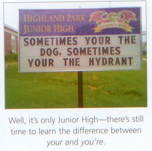 i-judge-you-grammar-x-dog-hydrant